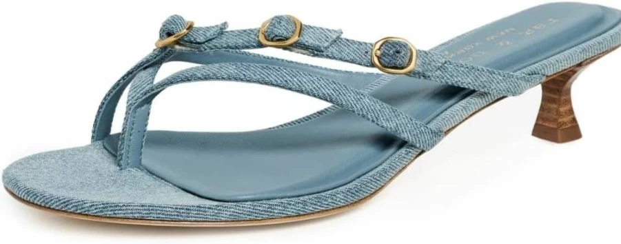 Rag & Bone Women's Sammie Buckle Kitten Heels - Stylish Low Heel Pumps for Women